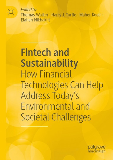 bokomslag Fintech and Sustainability