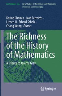 bokomslag The Richness of the History of Mathematics