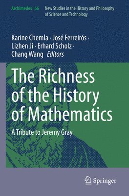 Karine Chemla, José Ferreirós, Lizhen Ji, Erhard Scholz, Chang Wang, Jose Ferreiros - Richness of the History of Mathematics, Häftad