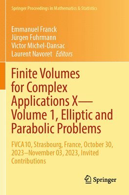 bokomslag Finite Volumes for Complex Applications XVolume 1, Elliptic and Parabolic Problems