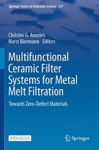 bokomslag Multifunctional Ceramic Filter Systems for Metal Melt Filtration