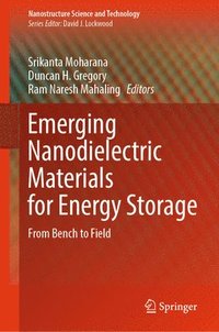 bokomslag Emerging Nanodielectric Materials for Energy Storage