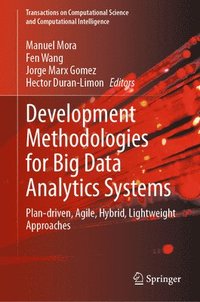 bokomslag Development Methodologies for Big Data Analytics Systems