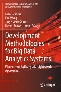 bokomslag Development Methodologies for Big Data Analytics Systems