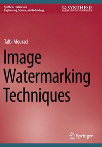 bokomslag Image Watermarking Techniques