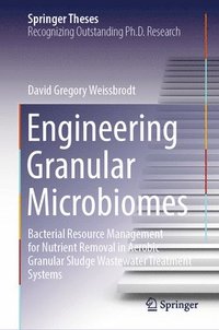 bokomslag Engineering Granular Microbiomes