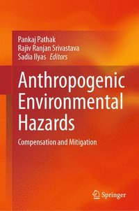 bokomslag Anthropogenic Environmental Hazards