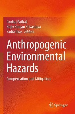 bokomslag Anthropogenic Environmental Hazards