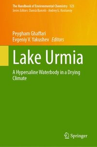 bokomslag Lake Urmia