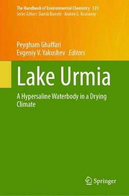 Lake Urmia 1