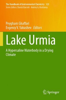 bokomslag Lake Urmia