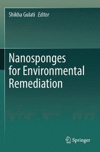 bokomslag Nanosponges for Environmental Remediation