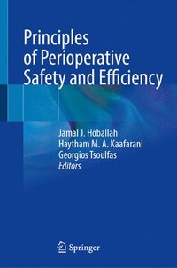 bokomslag Principles of Perioperative Safety and Efficiency