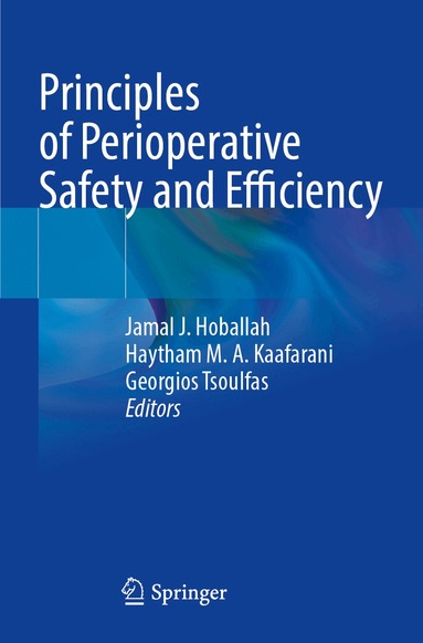 Jamal J Hoballah, Haytham MA Kaafarani, Georgios Tsoulfas - Principles of Perioperative Safety and Efficiency, Häftad