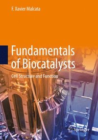 bokomslag Fundamentals of Biocatalysts