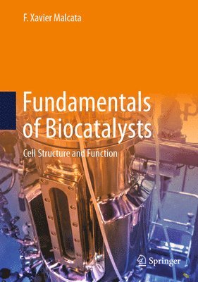 bokomslag Fundamentals of Biocatalysts