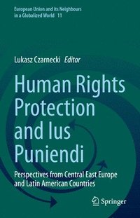 bokomslag Human Rights Protection and Ius Puniendi