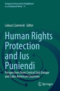 bokomslag Human Rights Protection and Ius Puniendi