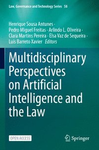 bokomslag Multidisciplinary Perspectives on Artificial Intelligence and the Law
