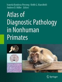bokomslag Atlas of Diagnostic Pathology in Nonhuman Primates