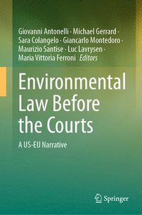 bokomslag Environmental Law Before the Courts
