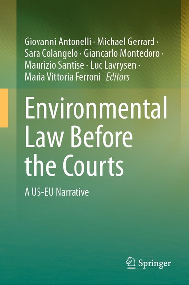 bokomslag Environmental Law Before the Courts