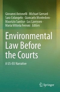 bokomslag Environmental Law Before the Courts