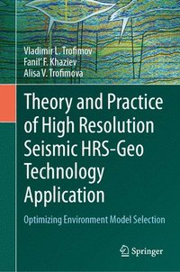 bokomslag Theory and Practice of High Resolution Seismic HRS-Geo Technology Application