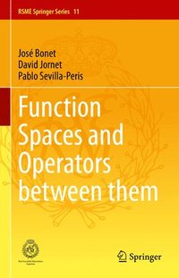 bokomslag Function Spaces and Operators between them
