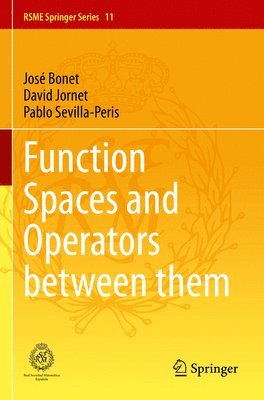 bokomslag Function Spaces and Operators between them