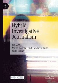 bokomslag Hybrid Investigative Journalism