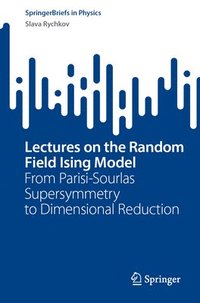 bokomslag Lectures on the Random Field Ising Model