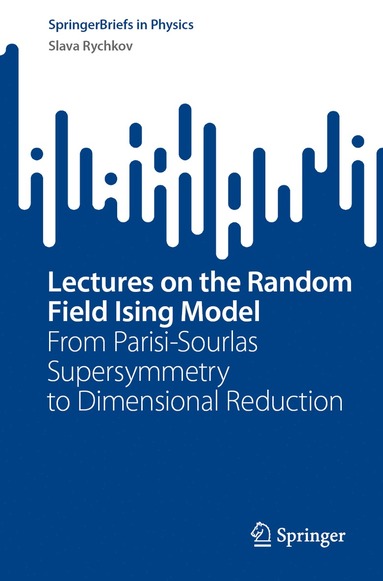 bokomslag Lectures on the Random Field Ising Model