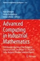 bokomslag Advanced Computing in Industrial Mathematics