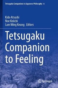 bokomslag Tetsugaku Companion to Feeling