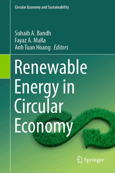 Suhaib A. Bandh, Fayaz A. Malla, Anh Tuan Hoang - Renewable Energy in Circular Economy, Inbunden