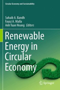 bokomslag Renewable Energy in Circular Economy