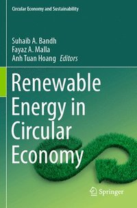 bokomslag Renewable Energy in Circular Economy