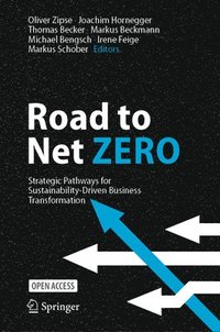 bokomslag Road to Net Zero