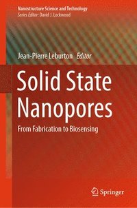 bokomslag Solid State Nanopores
