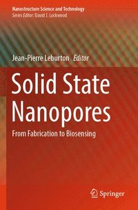 bokomslag Solid State Nanopores