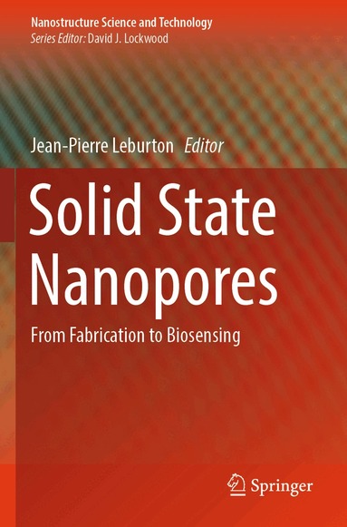 Jean-Pierre Leburton - Solid State Nanopores, Häftad