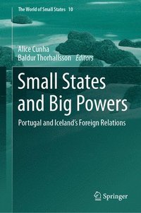 bokomslag Small States and Big Powers