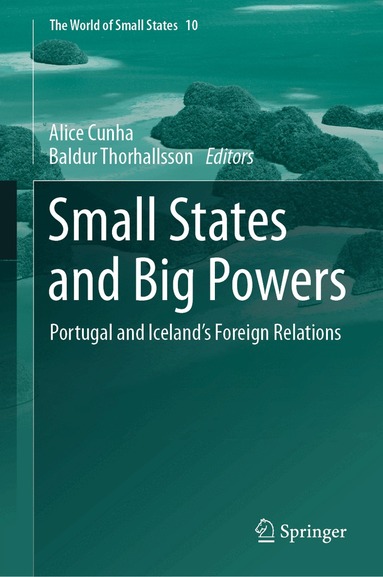 Alice Cunha, Baldur Thorhallsson - Small States and Big Powers, Inbunden