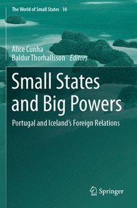 bokomslag Small States and Big Powers