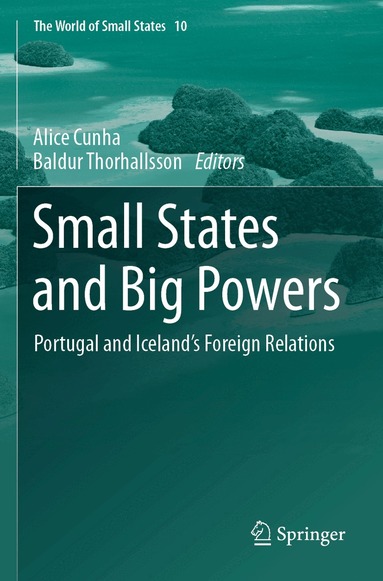 Alice Cunha, Baldur Thorhallsson - Small States and Big Powers, Häftad
