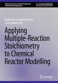 bokomslag Applying Multiple-Reaction Stoichiometry to Chemical Reactor Modelling