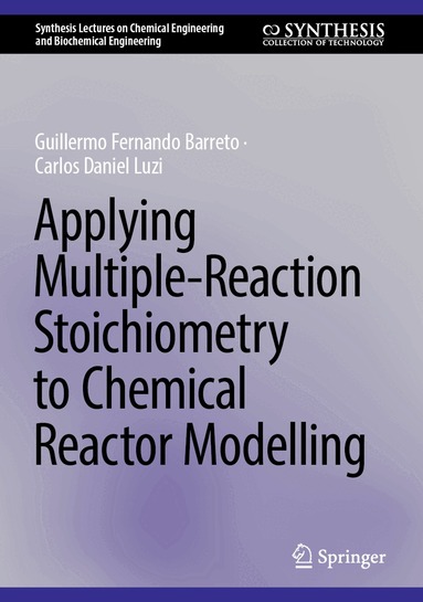 Guillermo Fernando Barreto, Carlos Daniel Luzi - Applying Multiple-Reaction Stoichiometry to Chemical Reactor Modelling, Inbunden