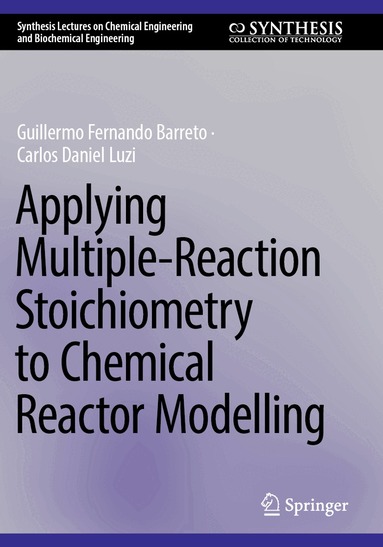 Guillermo Fernando Barreto, Carlos Daniel Luzi - Applying Multiple-Reaction Stoichiometry to Chemical Reactor Modelling, Häftad