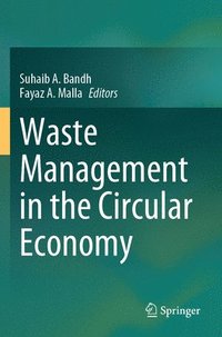 bokomslag Waste Management in the Circular Economy